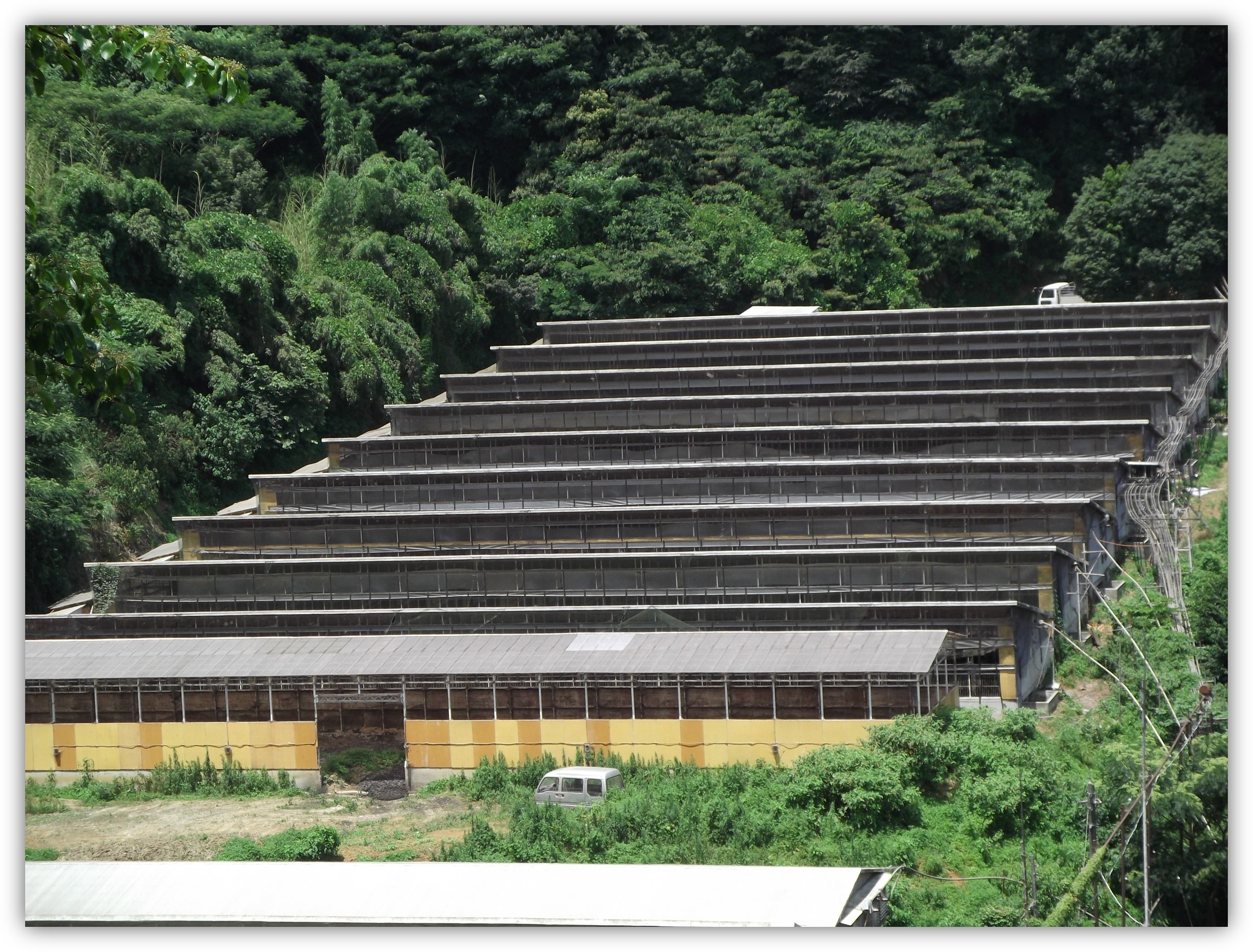 有限会社 山口養豚場